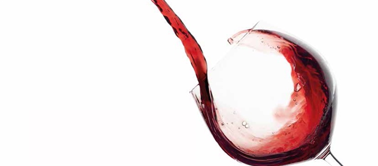 Prosecco e Amarone: due eccellenze della vitivinicoltura del Veneto