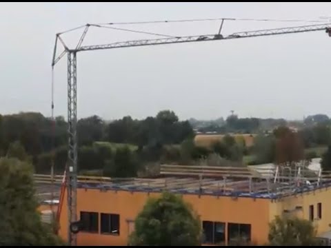 Transizione energetica: il modello cooperativo che accompagna le imprese verso la sostenibilità