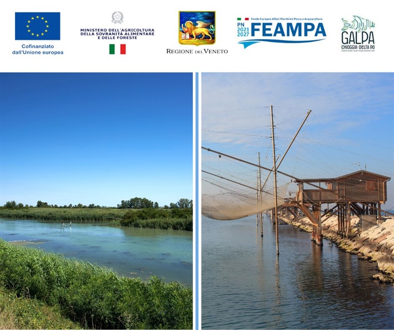 Pesca 🎣 Inaugurati gli sportelli di Porto Tolle e Chioggia