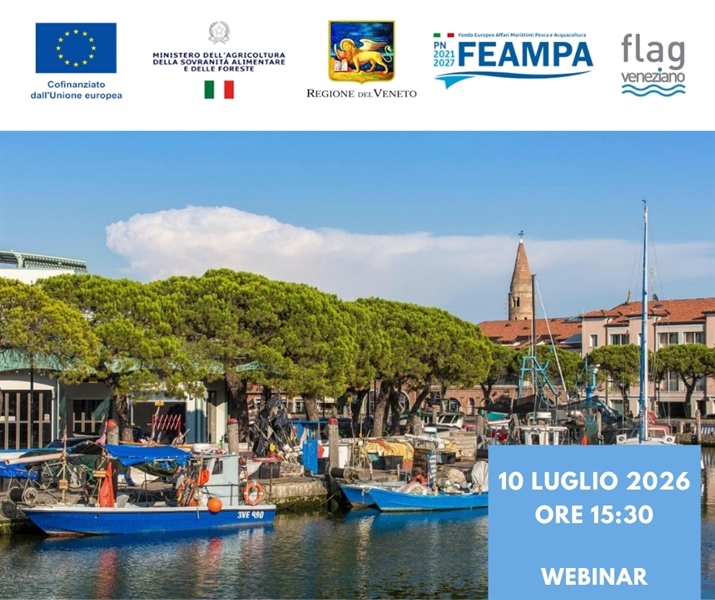 INCONTRO ONLINE SU BANDI FEAMPA